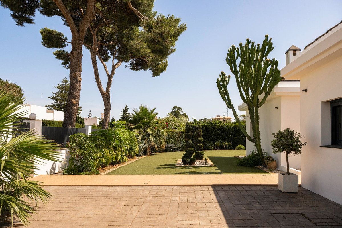 Side garden with lawn, spiral-clipped shrubs and tall umbrella pines