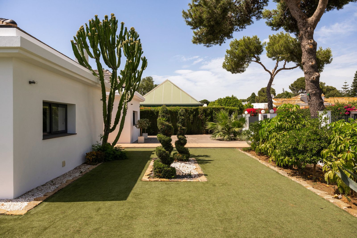 Side garden with candelabra cactus, clipped shrubs and lawn